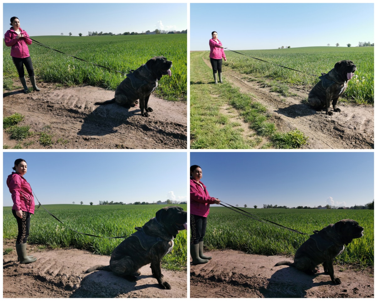 CollageMaker_20210508_083147330