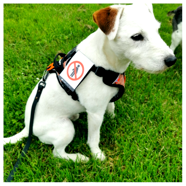 GridPost_1625586944447_4