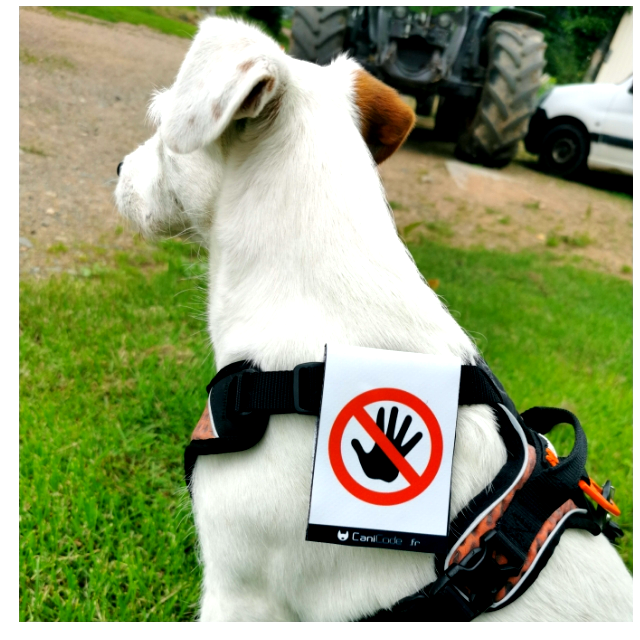 GridPost_1625586944912_6