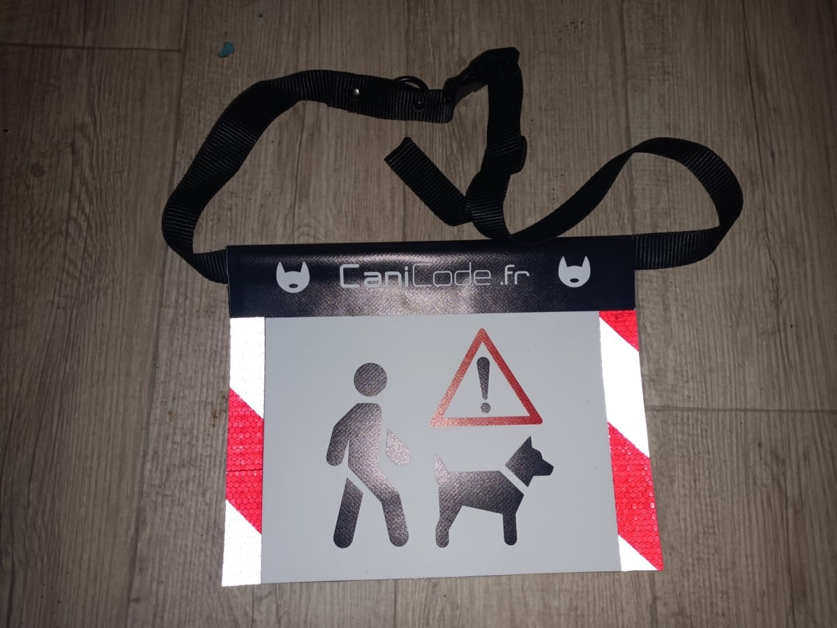 IMG20230212101535
