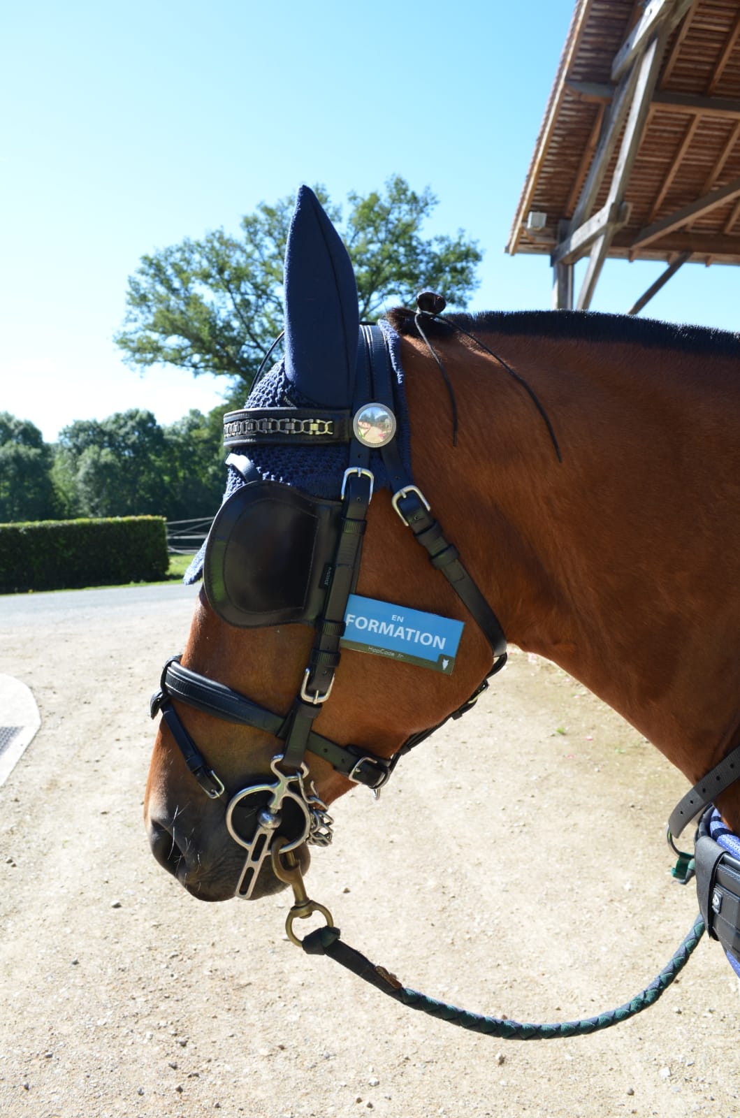 WhatsApp Image 2022-07-05 at 09.27.30