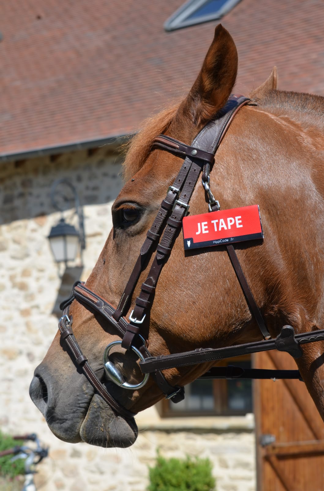 WhatsApp Image 2022-07-05 at 09.27.42 (5)