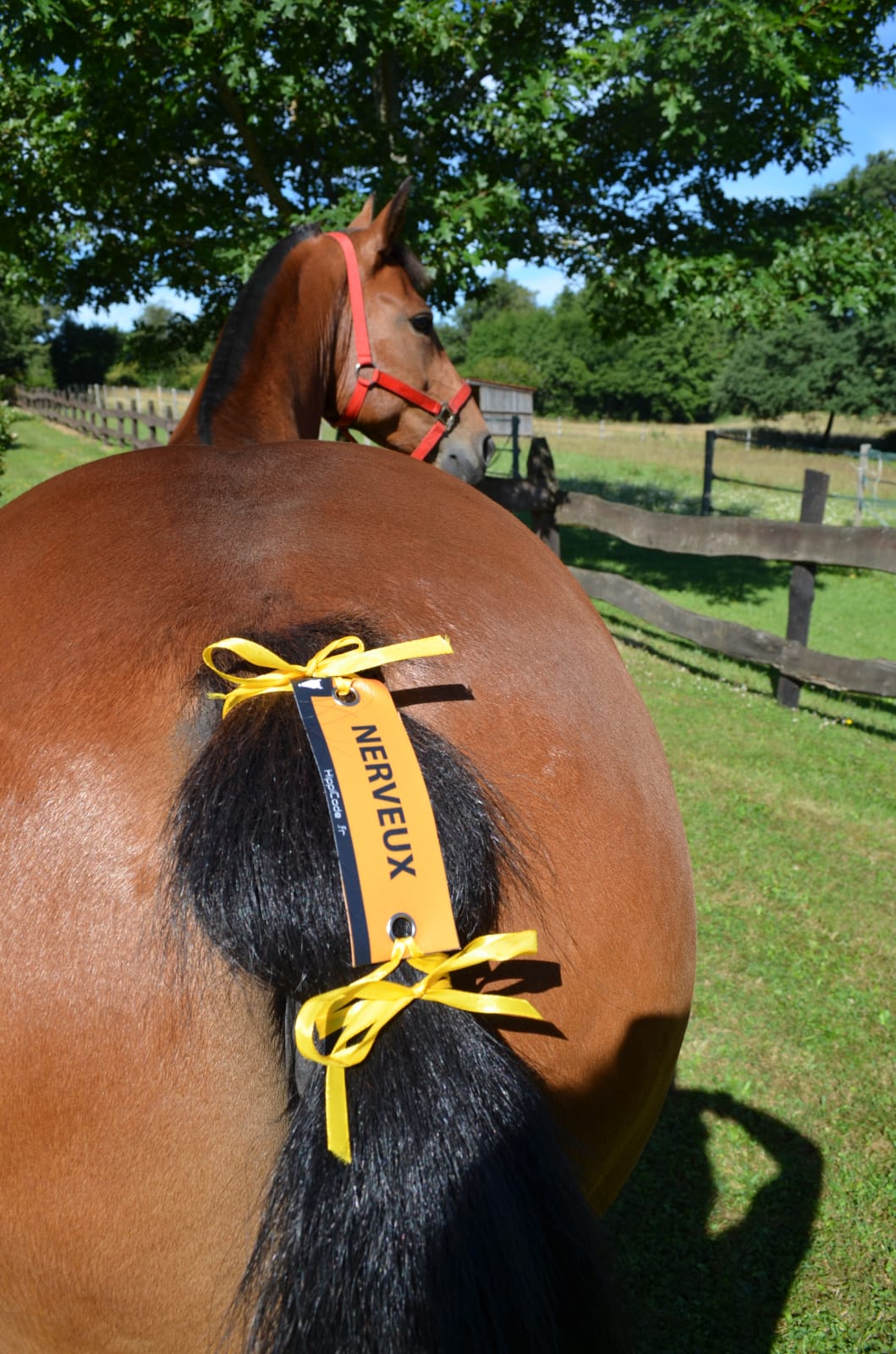 WhatsApp Image 2022-07-05 at 09.27.43 (2)