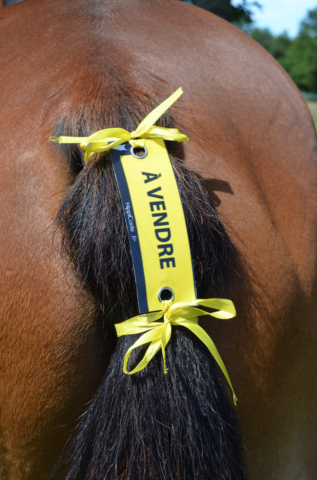 WhatsApp Image 2022-07-05 at 09.27.44 (1)