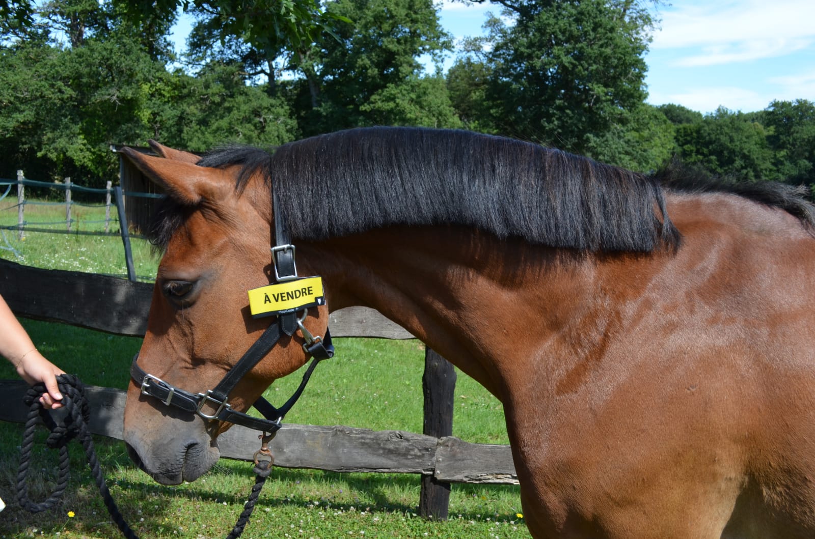 WhatsApp Image 2022-07-05 at 09.27.44 (2)