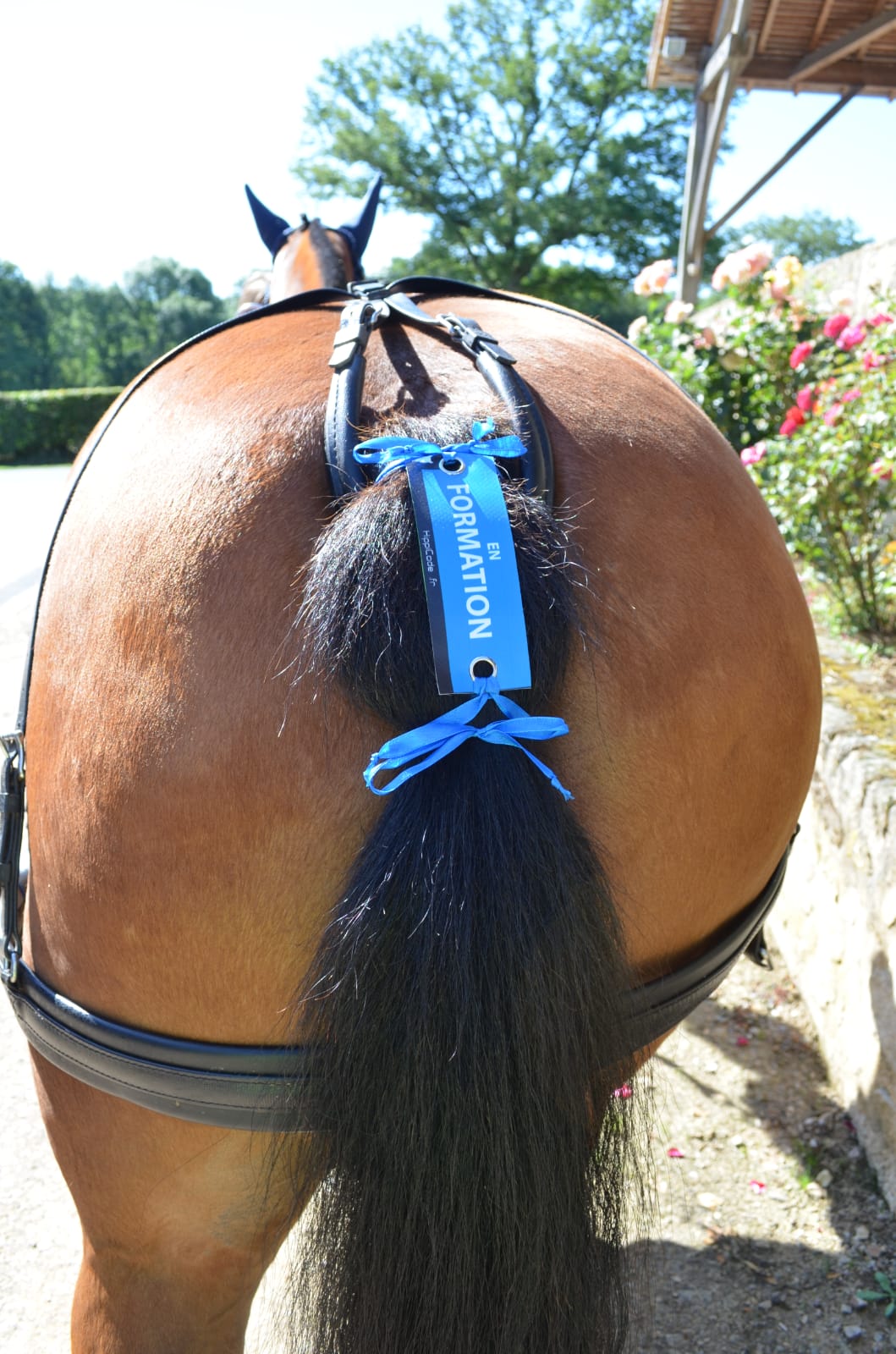 WhatsApp Image 2022-07-05 at 09.27.44