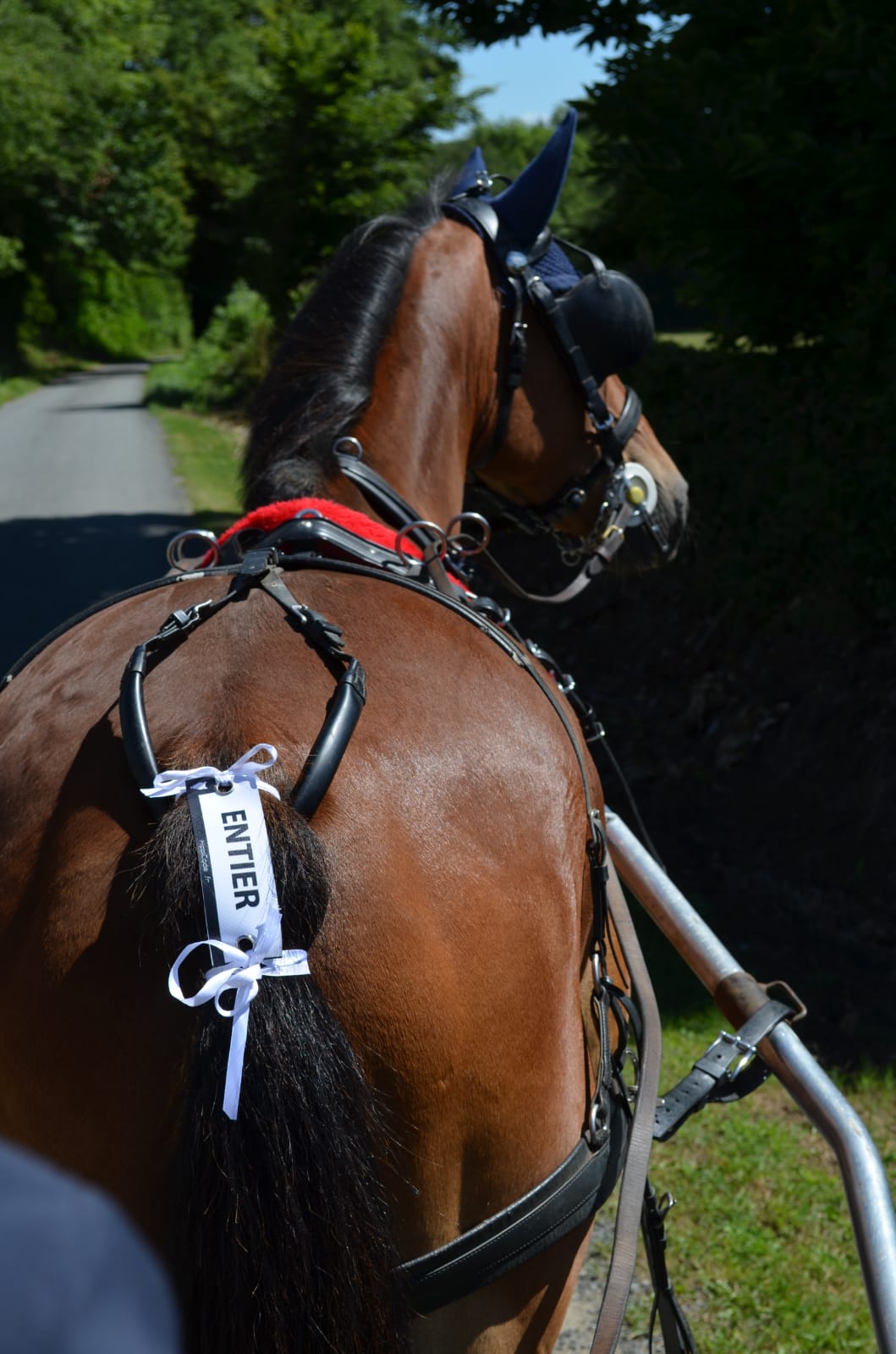 WhatsApp Image 2022-07-05 at 09.27.45 (4)