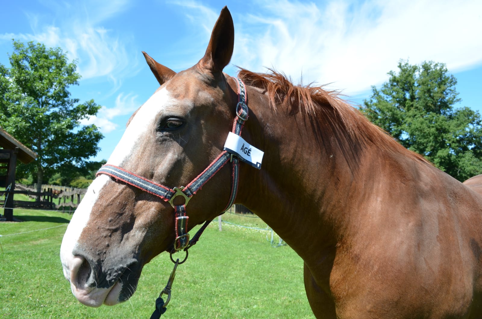 WhatsApp Image 2022-07-05 at 09.29.33