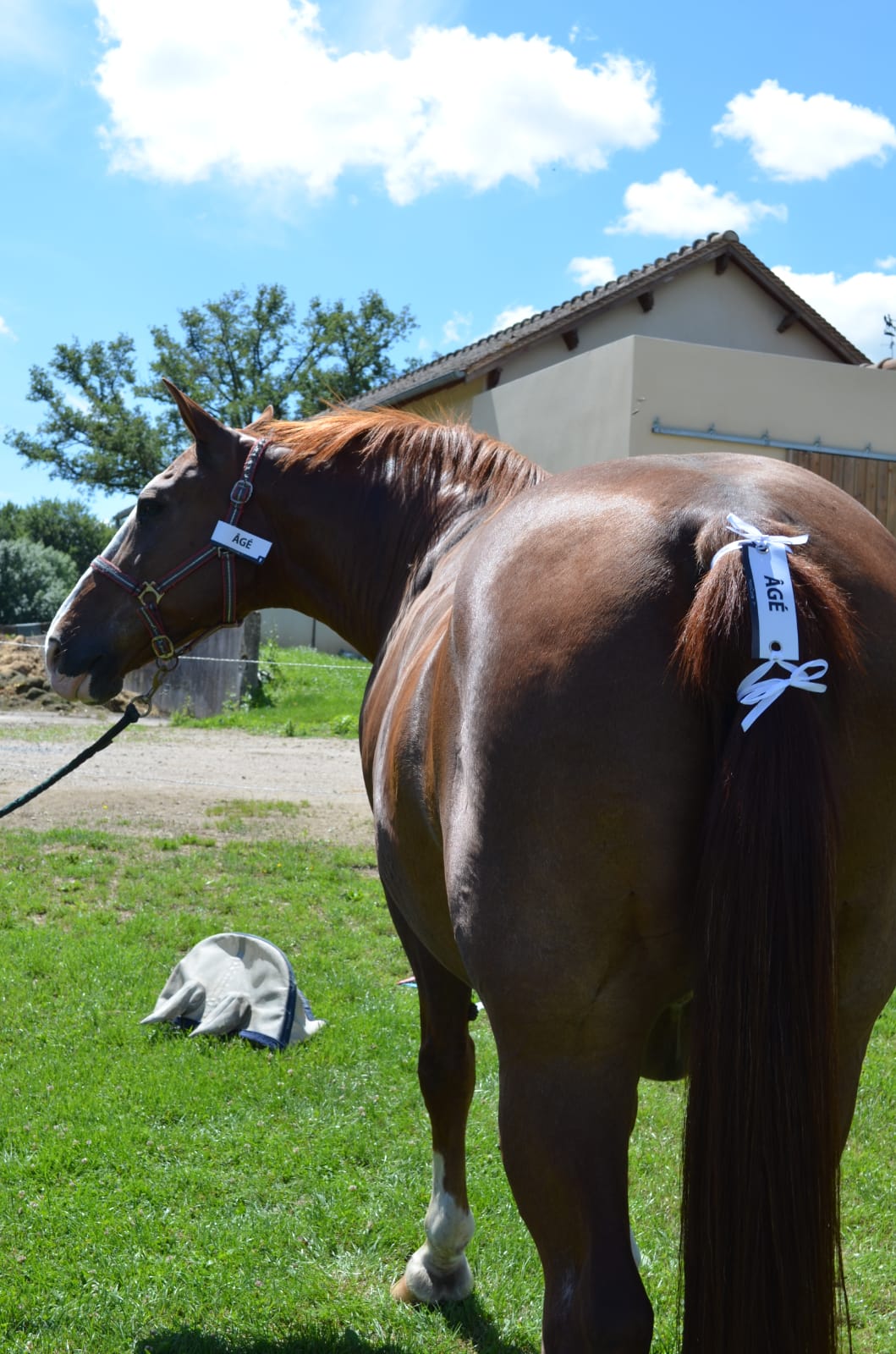 WhatsApp Image 2022-07-05 at 09.30.08 (1)