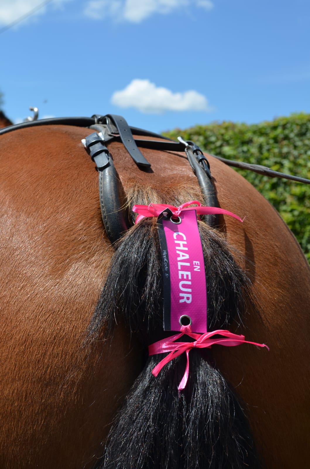 WhatsApp Image 2022-07-05 at 09.30.08