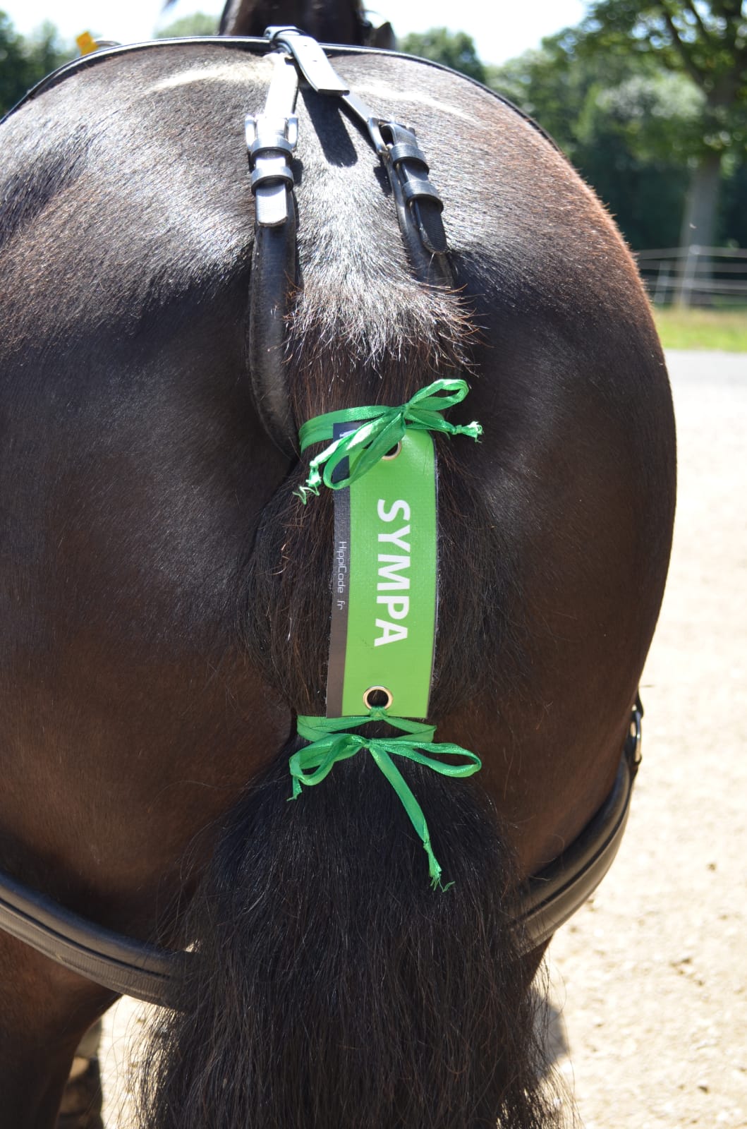 WhatsApp Image 2022-07-05 at 09.30.11 (4)