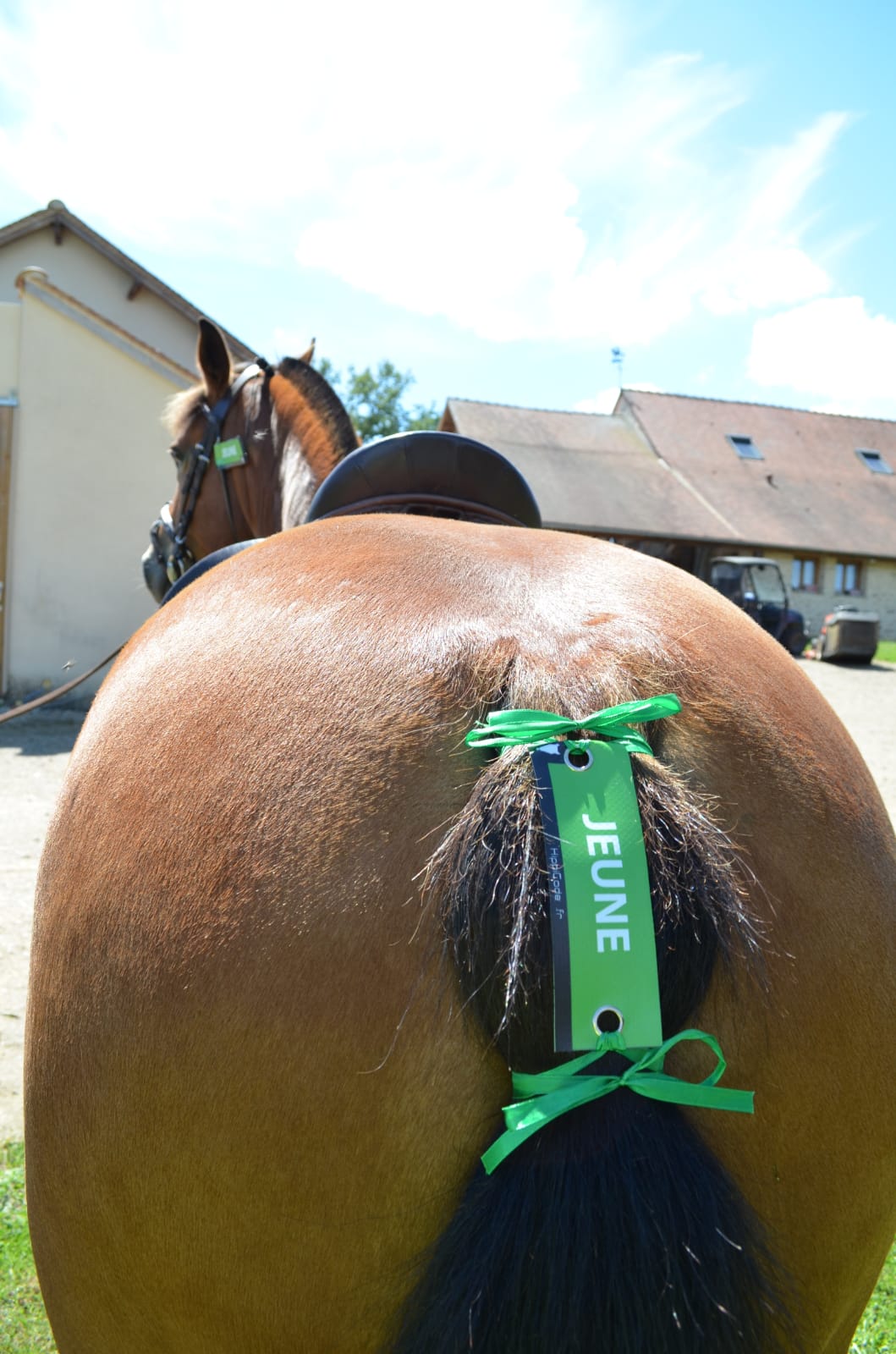 WhatsApp Image 2022-07-05 at 09.30.12 (6)