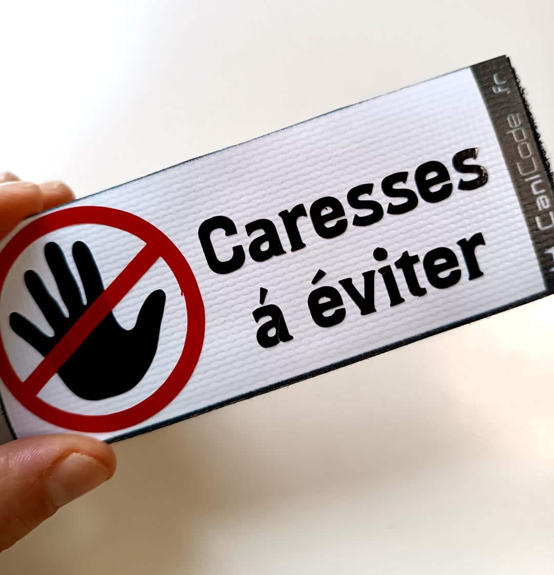 Scratch CaniCode personnalisé Scratch CaniCode personnalisé