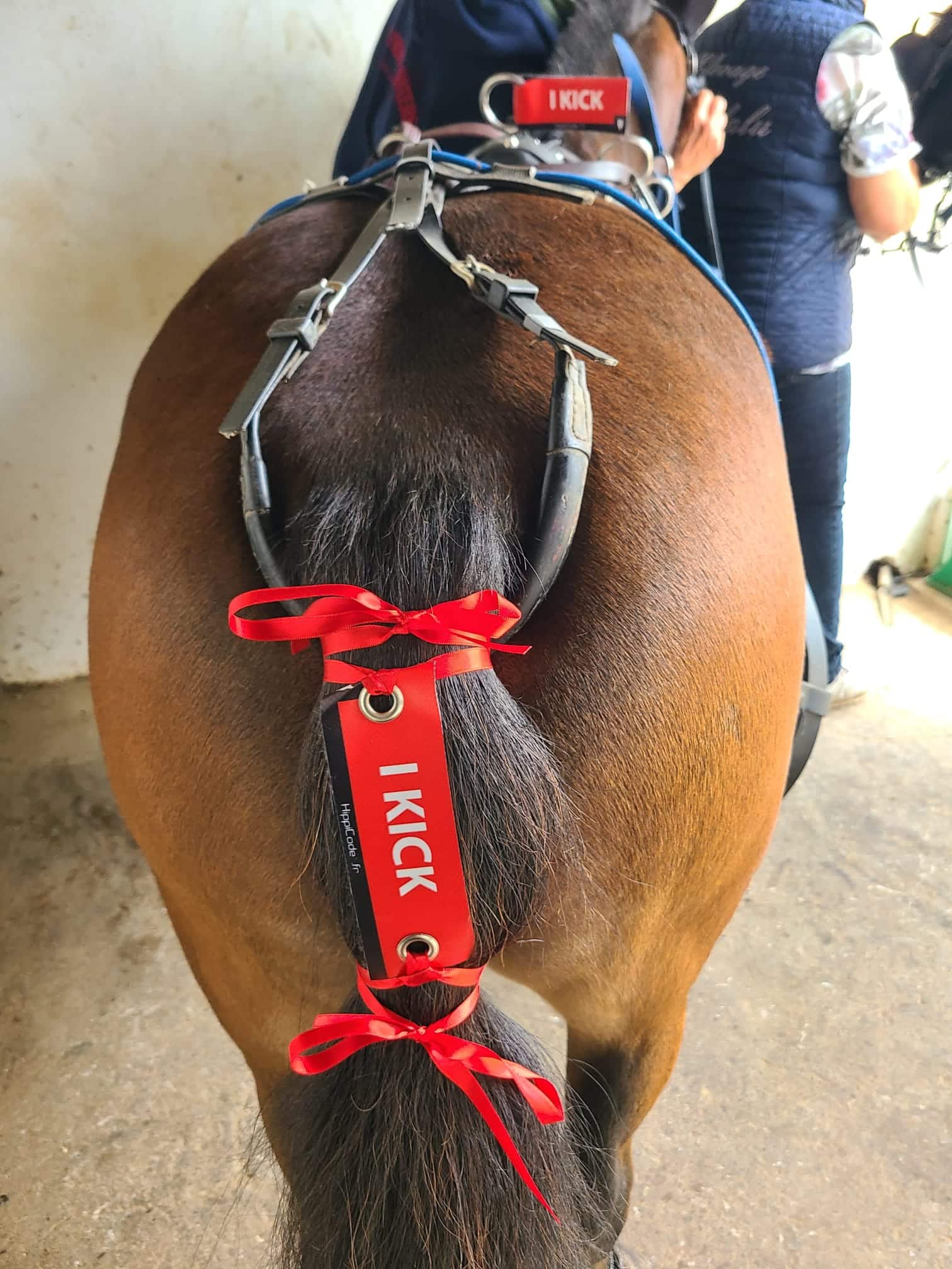 Oeillet préventif HippiCode Oeillet préventif HippiCode