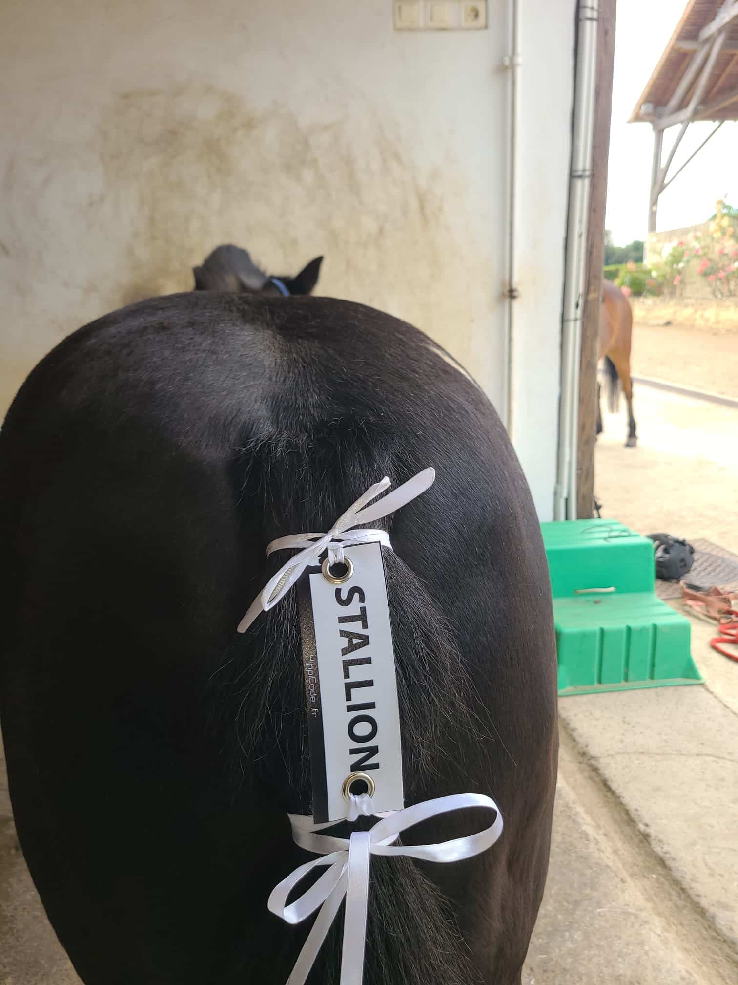 Oeillet préventif HippiCode Oeillet préventif HippiCode