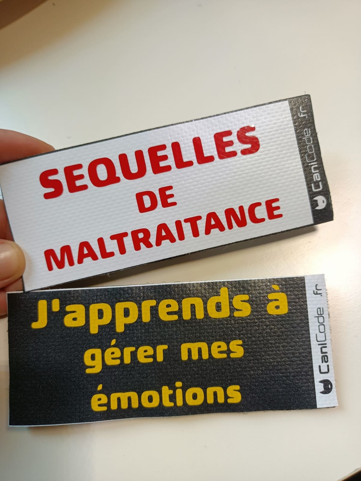 Scratch CaniCode Personalisé Scratch CaniCode Personalisé