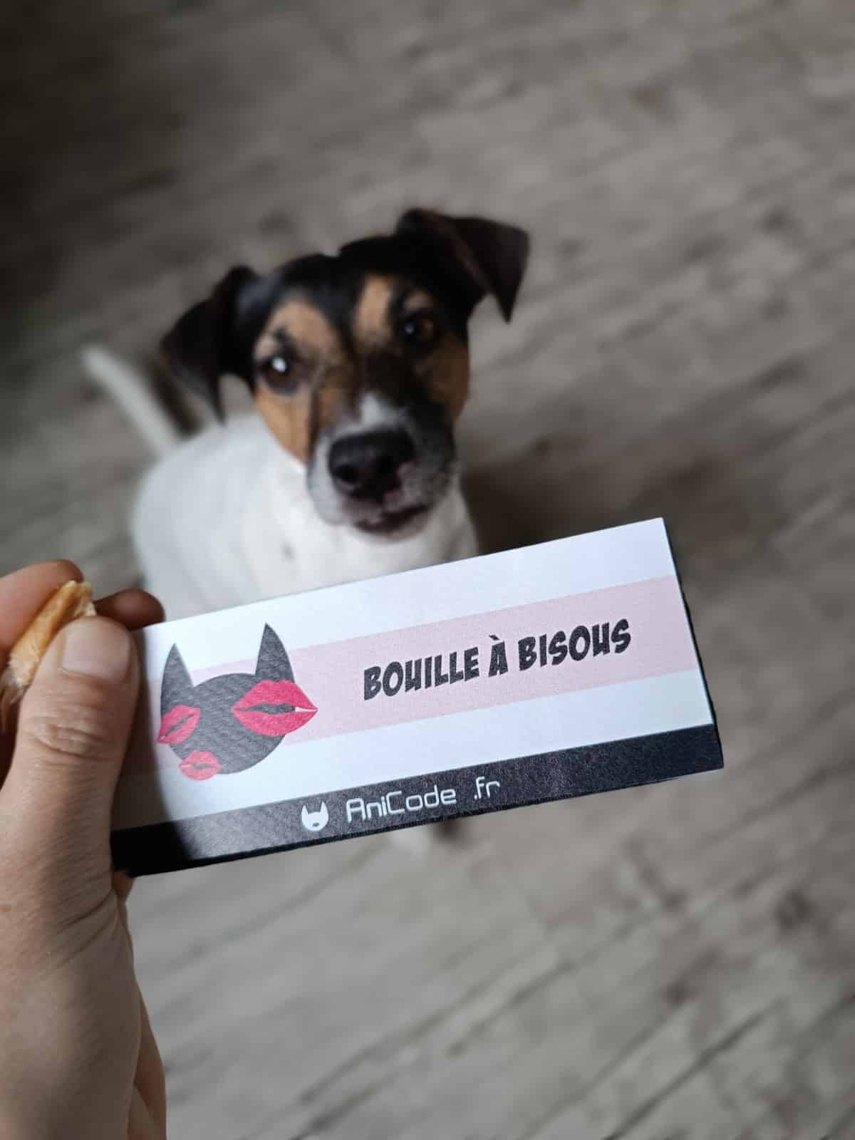 Scratch AniFun CaniCode