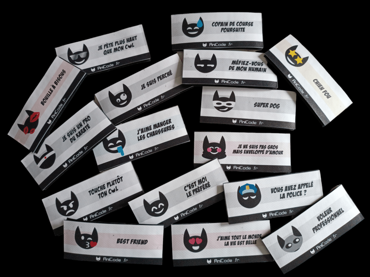 Scratch AniFun CaniCode