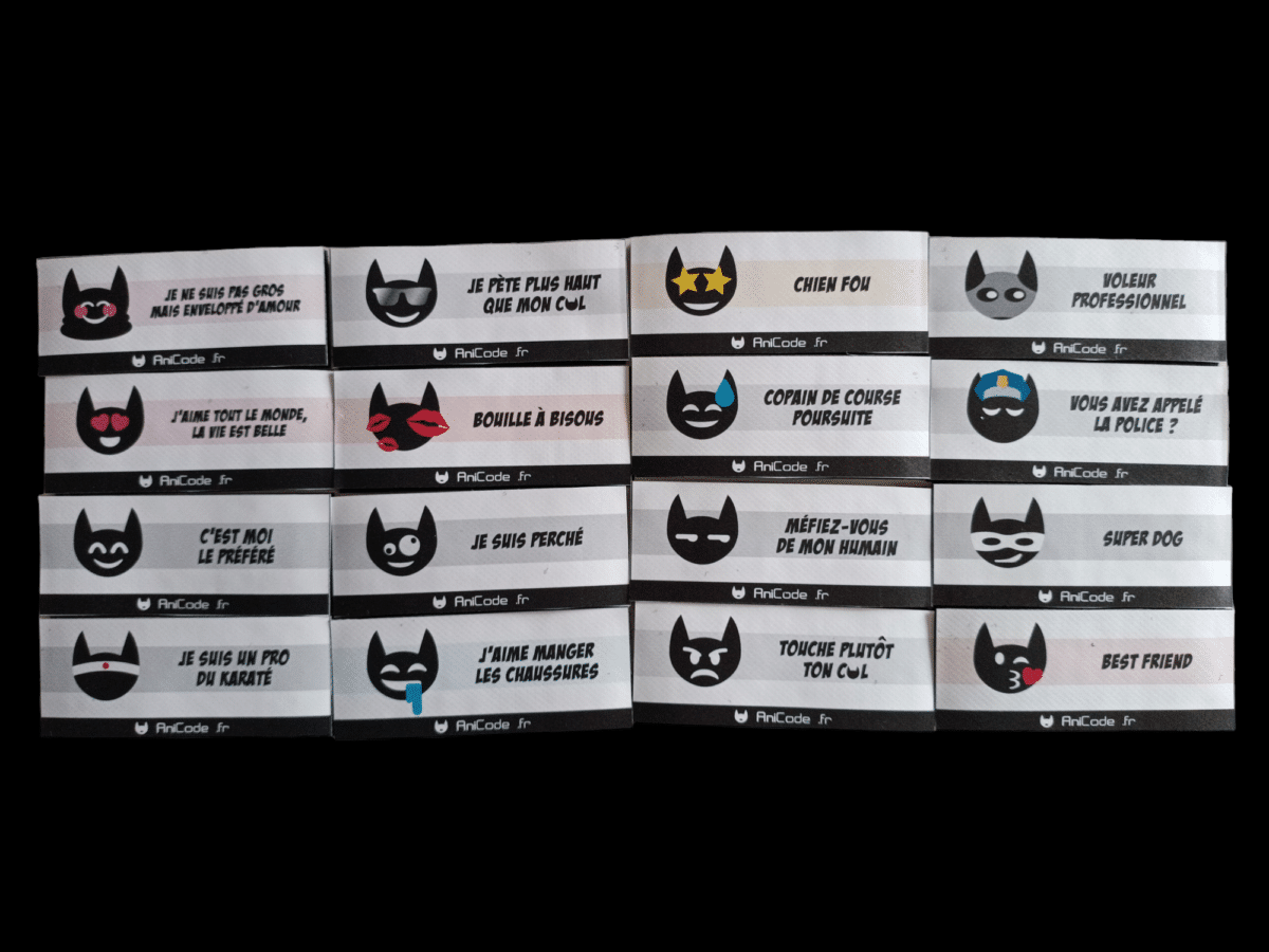 Scratch AniFun CaniCode