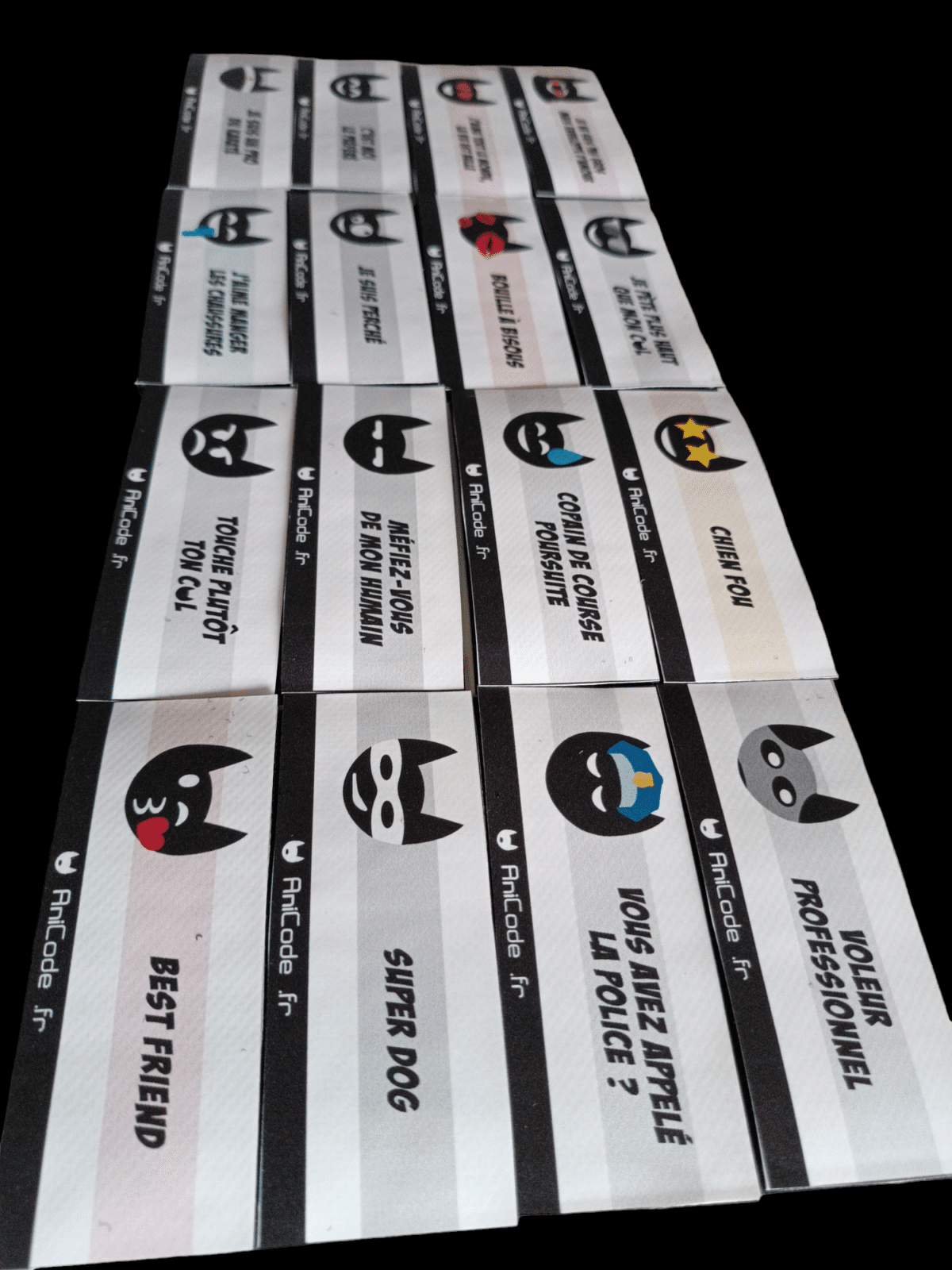 Scratch AniFun CaniCode