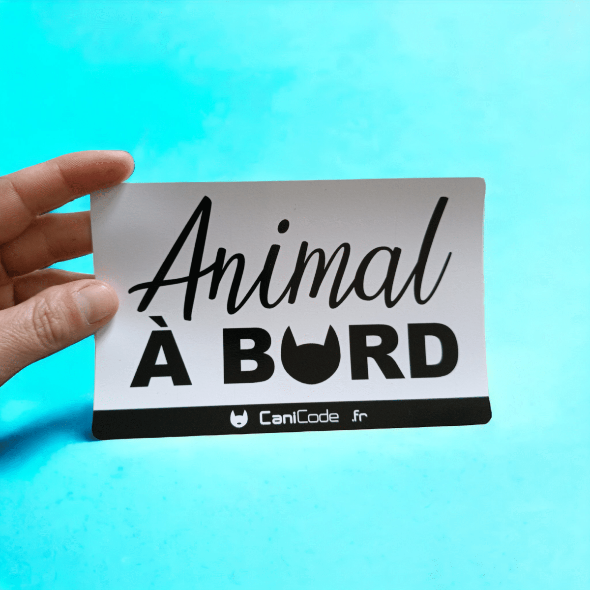 Sticker voiture Animal à Bord CaniCode