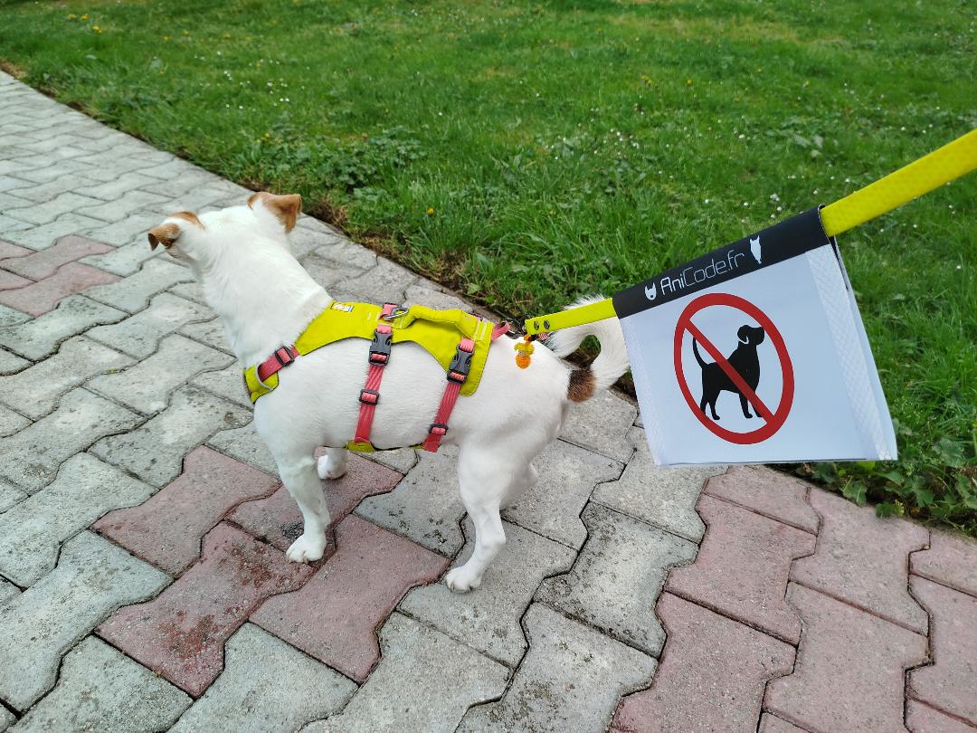 CaniFlag réflechisant à installer sur la laisse pour un maximum de prévention