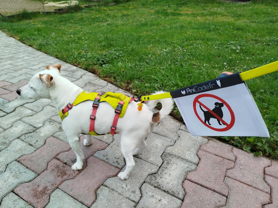 CaniFlag réflechisant à installer sur la laisse pour un maximum de prévention