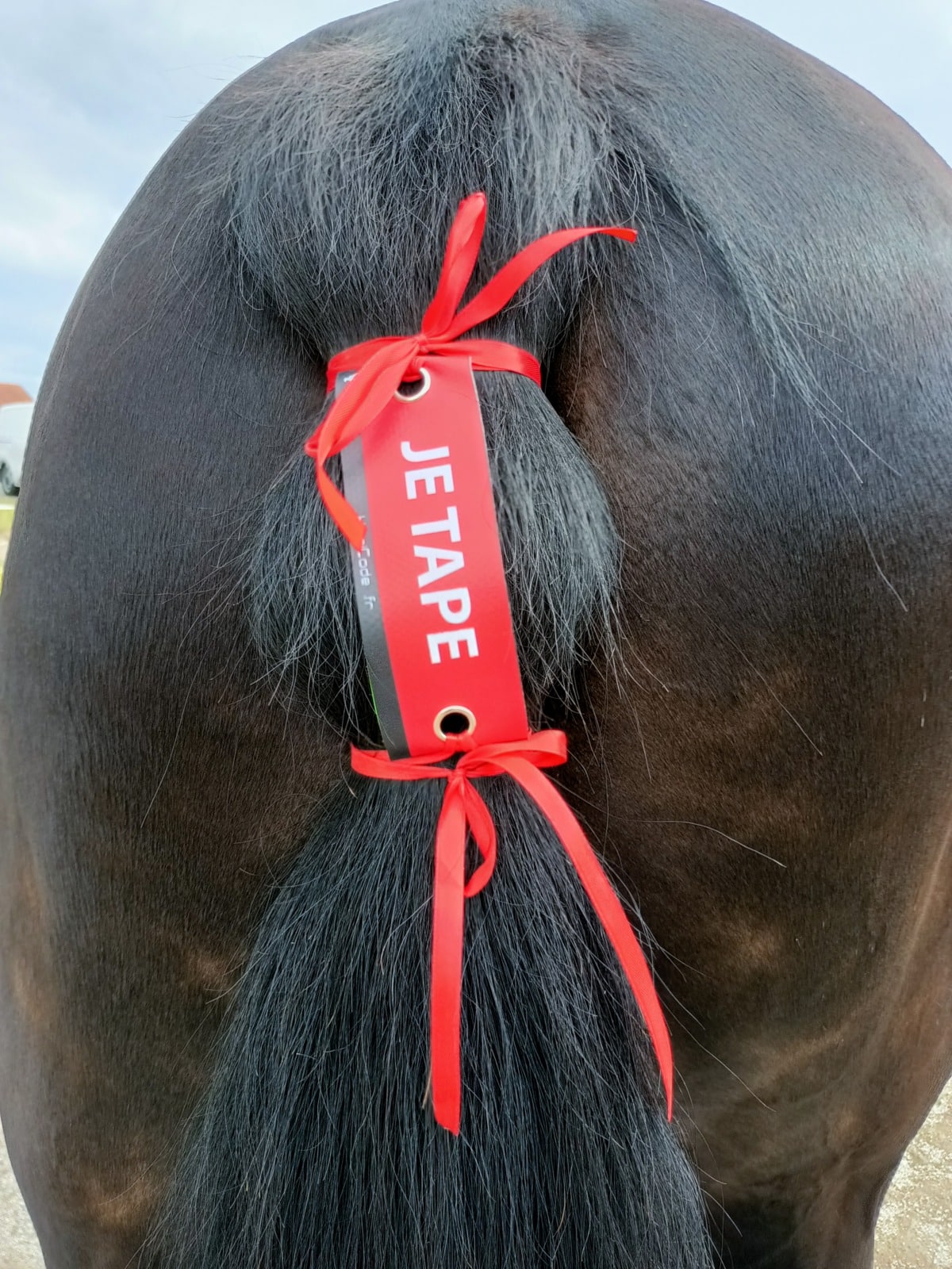 Œillet préventif HippiCode Œillet préventif HippiCode