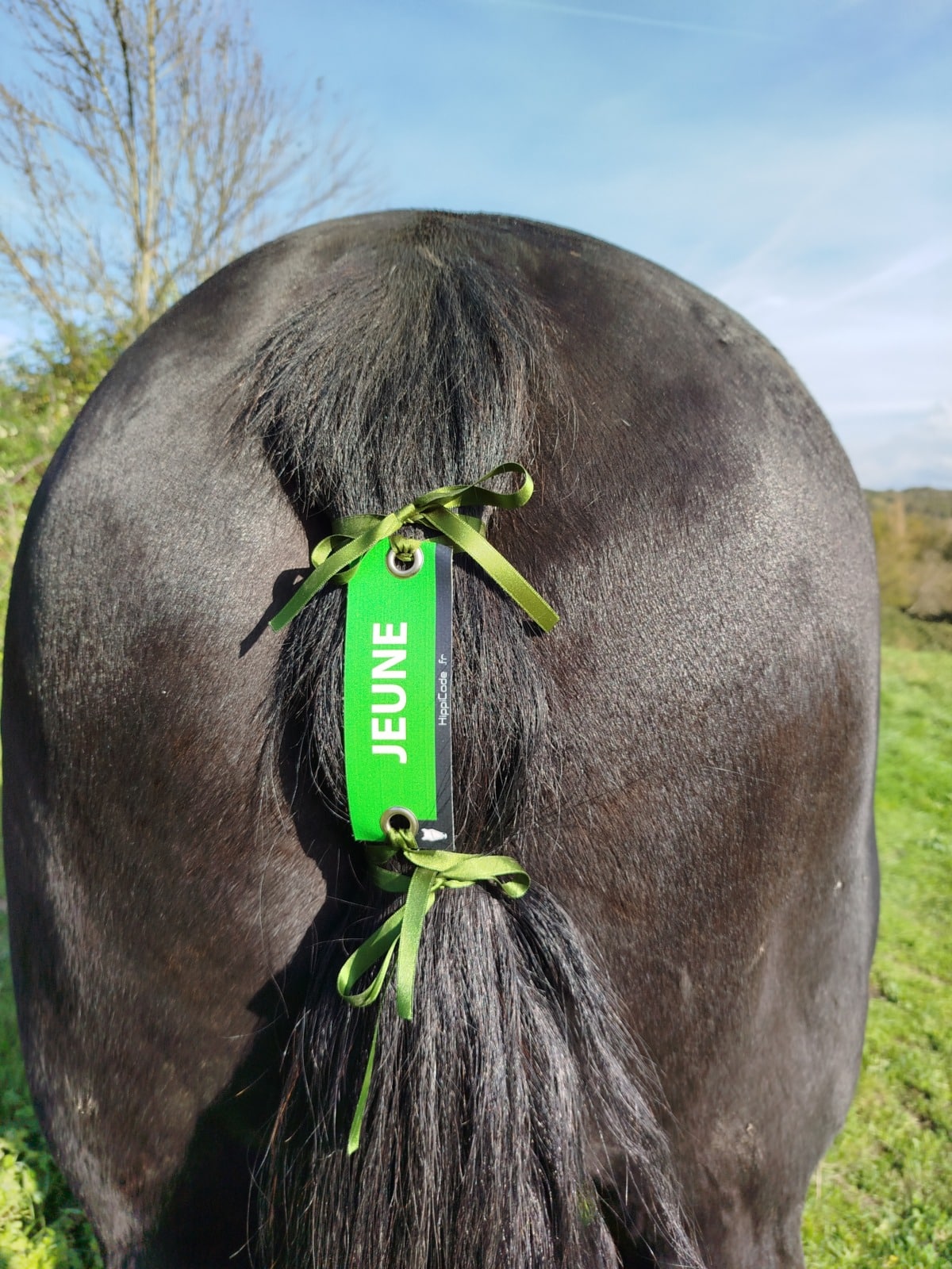 Œillet préventif HippiCode Œillet préventif HippiCode