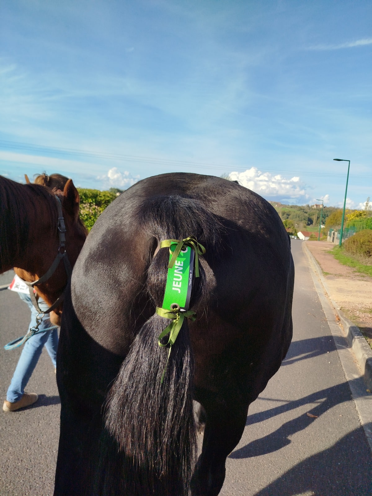 Œillet préventif HippiCode Œillet préventif HippiCode
