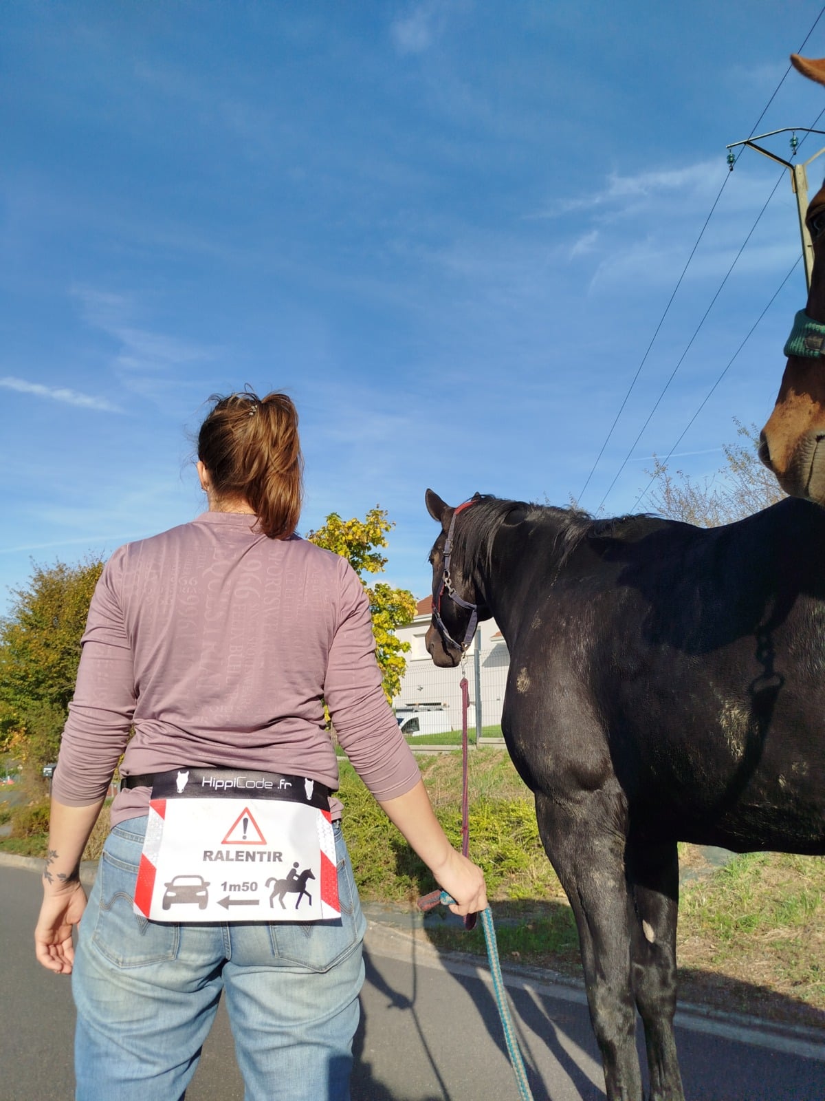 HippiSécu ceinture pour cavalier HippiSécu ceinture pour cavalier