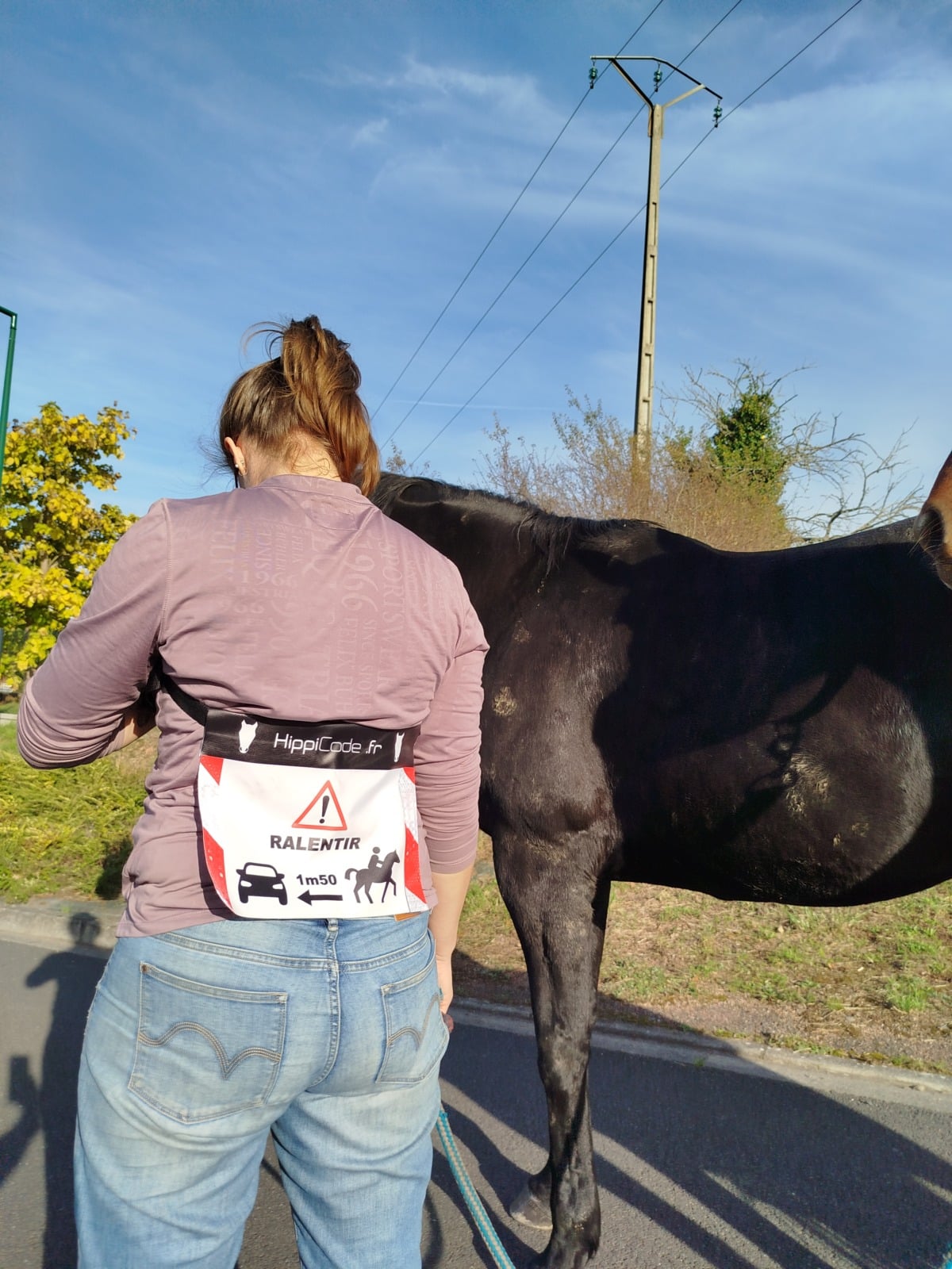 HippiSécu ceinture pour cavalier HippiSécu ceinture pour cavalier