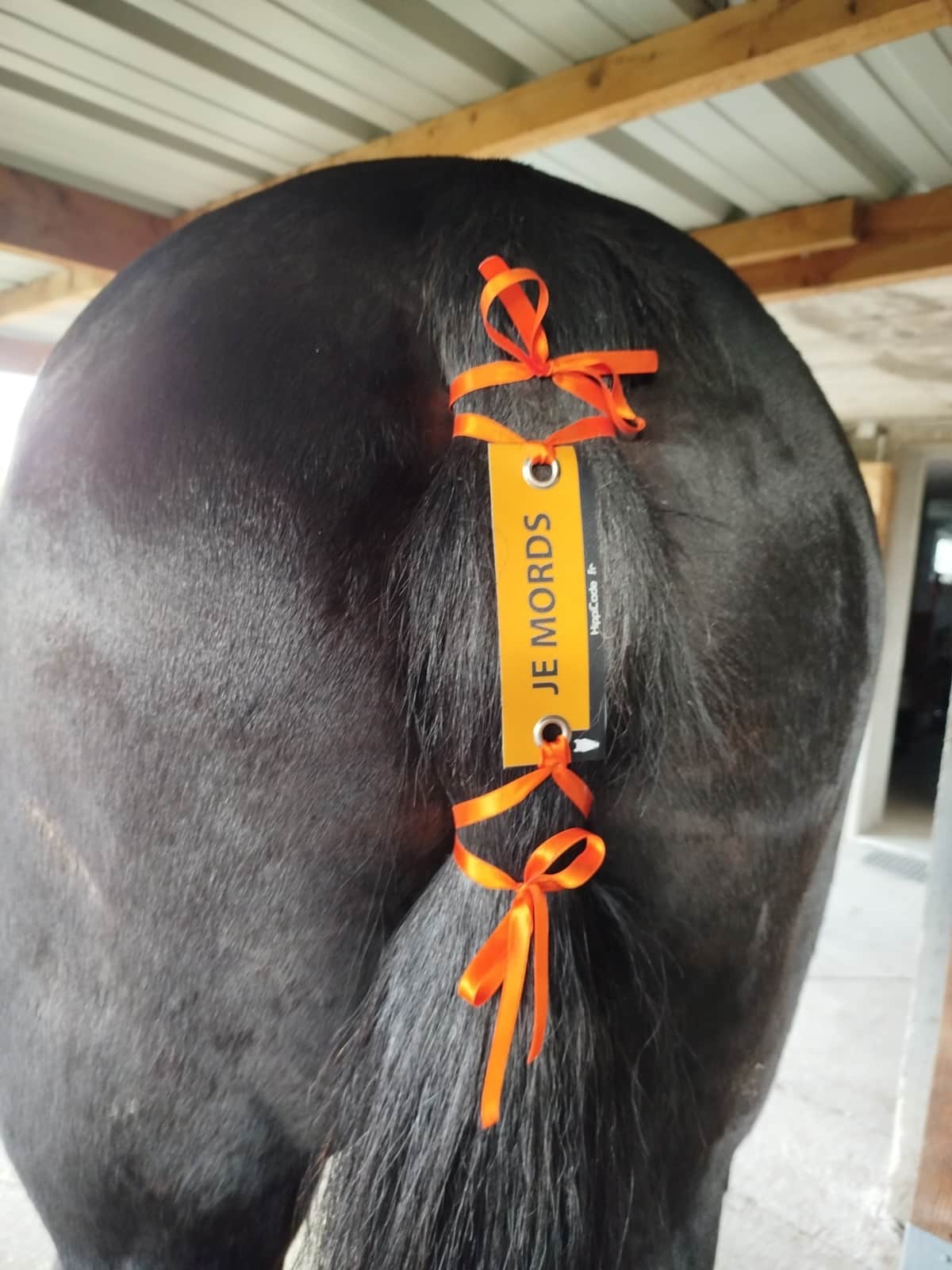 Œillet préventif HippiCode Œillet préventif HippiCode