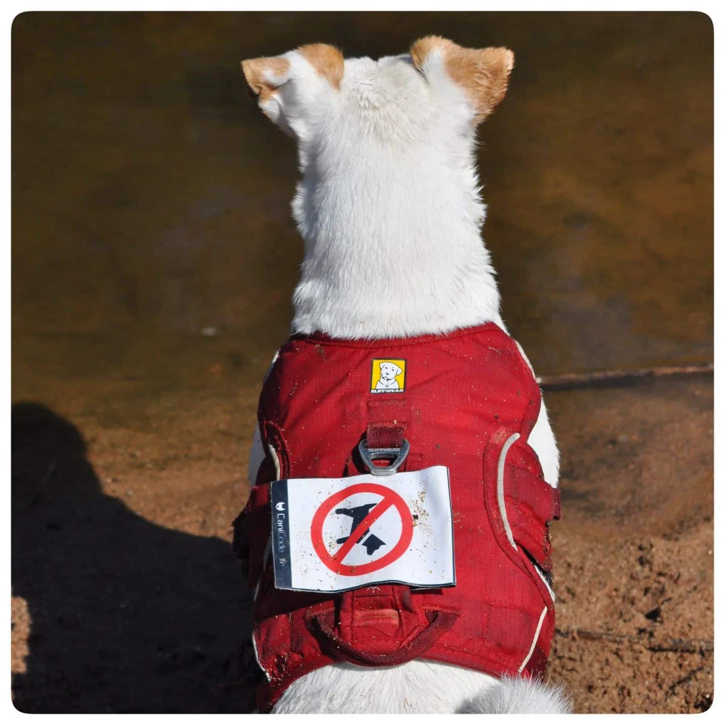 294873351_3368712370028395_2573587541371068620_n