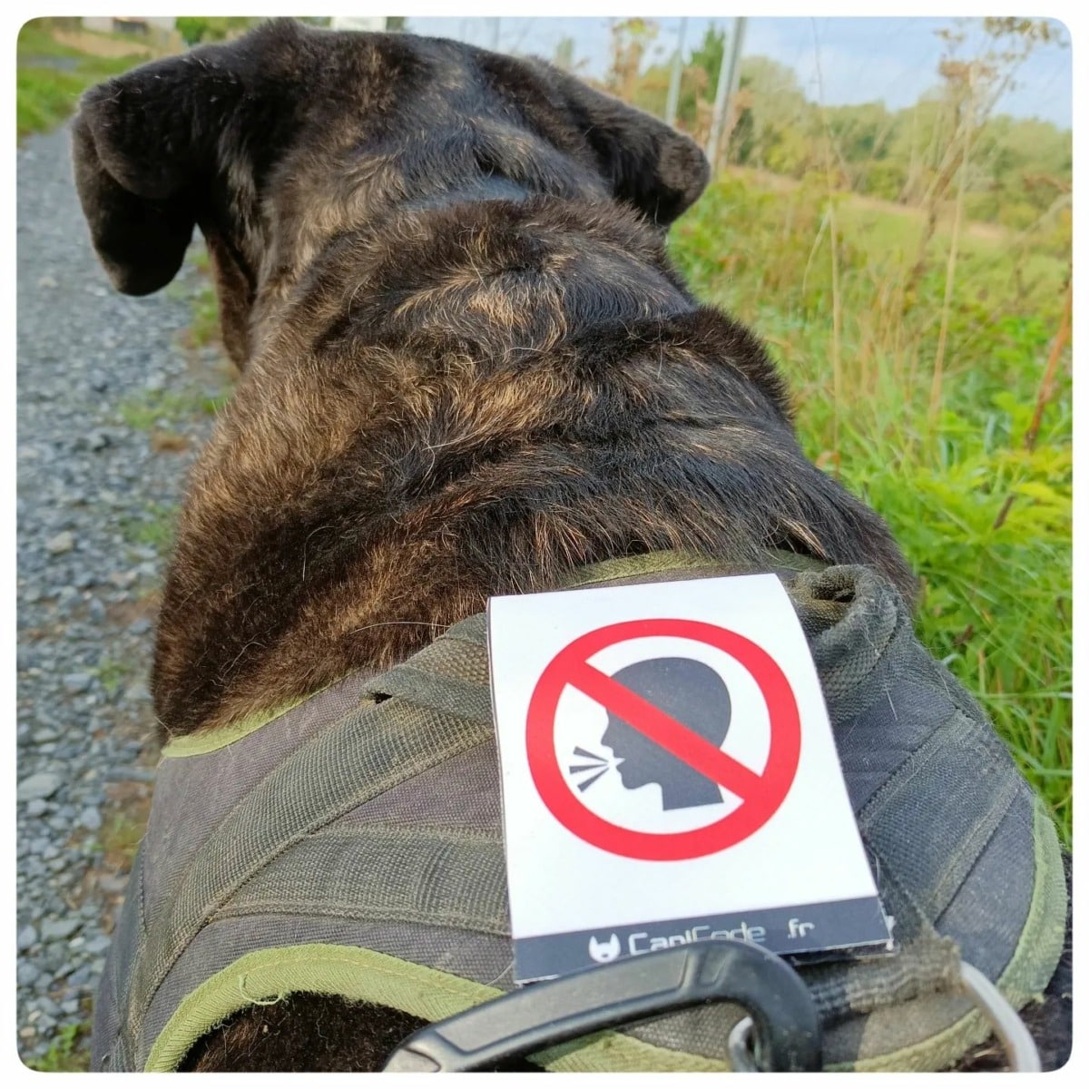 309368401_516065773858118_2999409945089646023_n