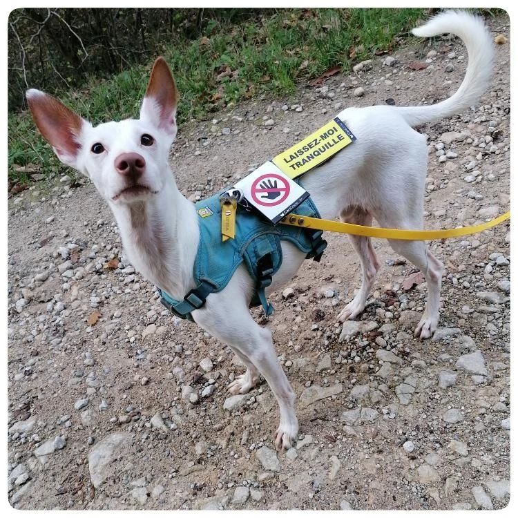 315406606_562465002551528_2286776208424463320_n