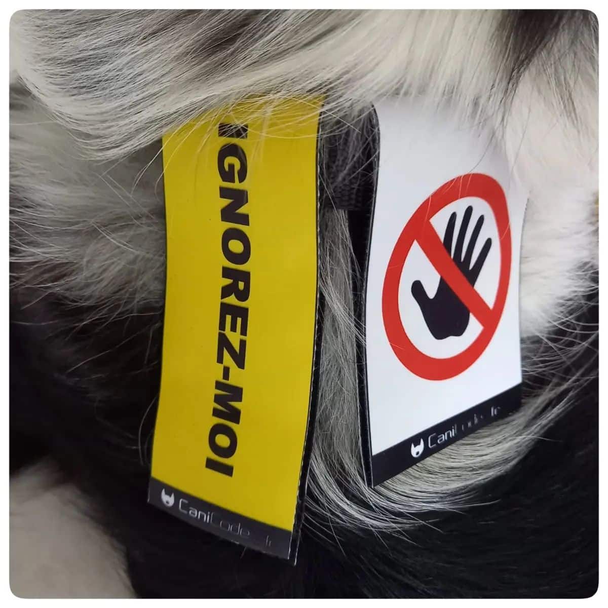 354045823_747892040675489_4798881694578706784_n