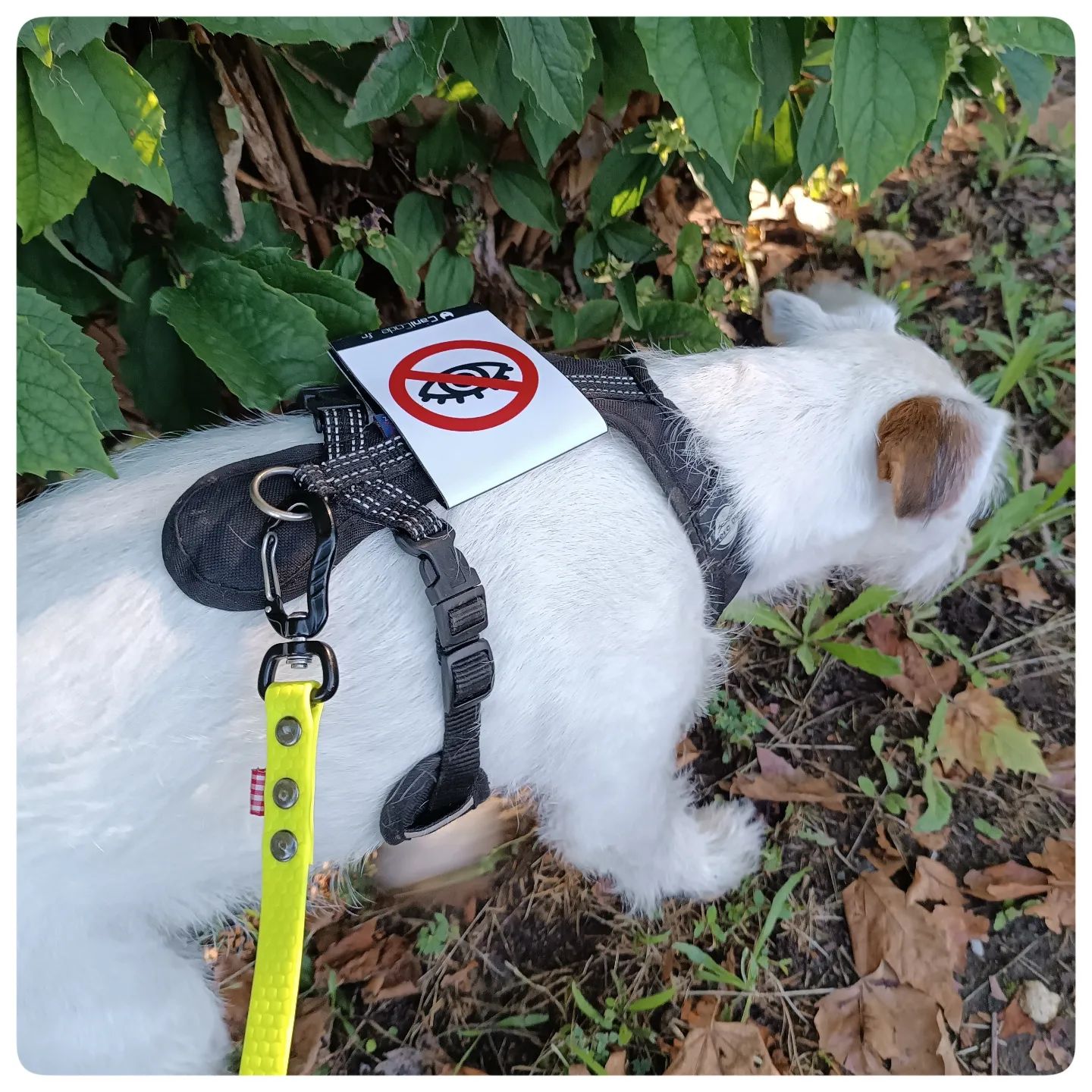 355134198_756207889843904_5579411735878372060_n