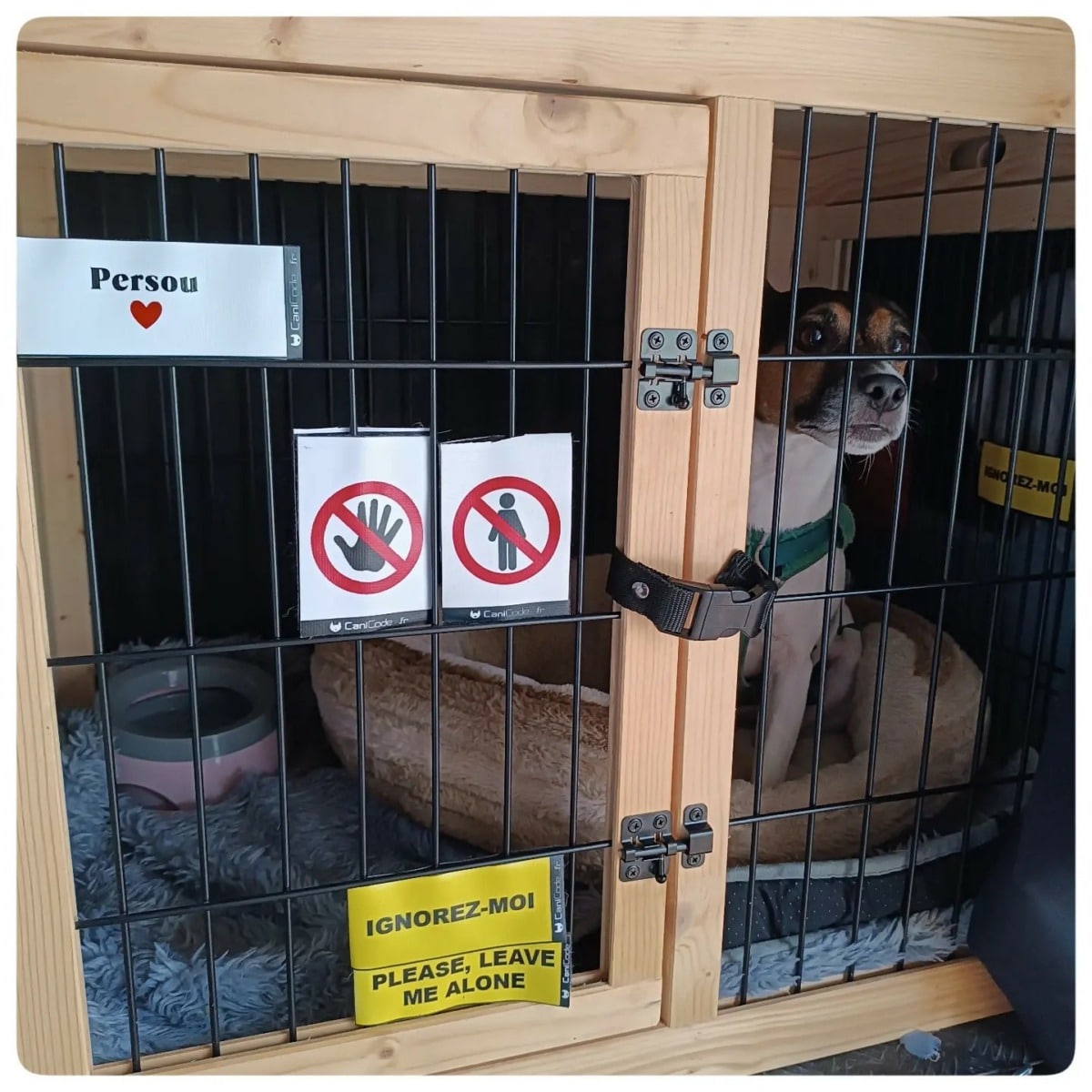 364802978_791499656314727_3509635870854834631_n