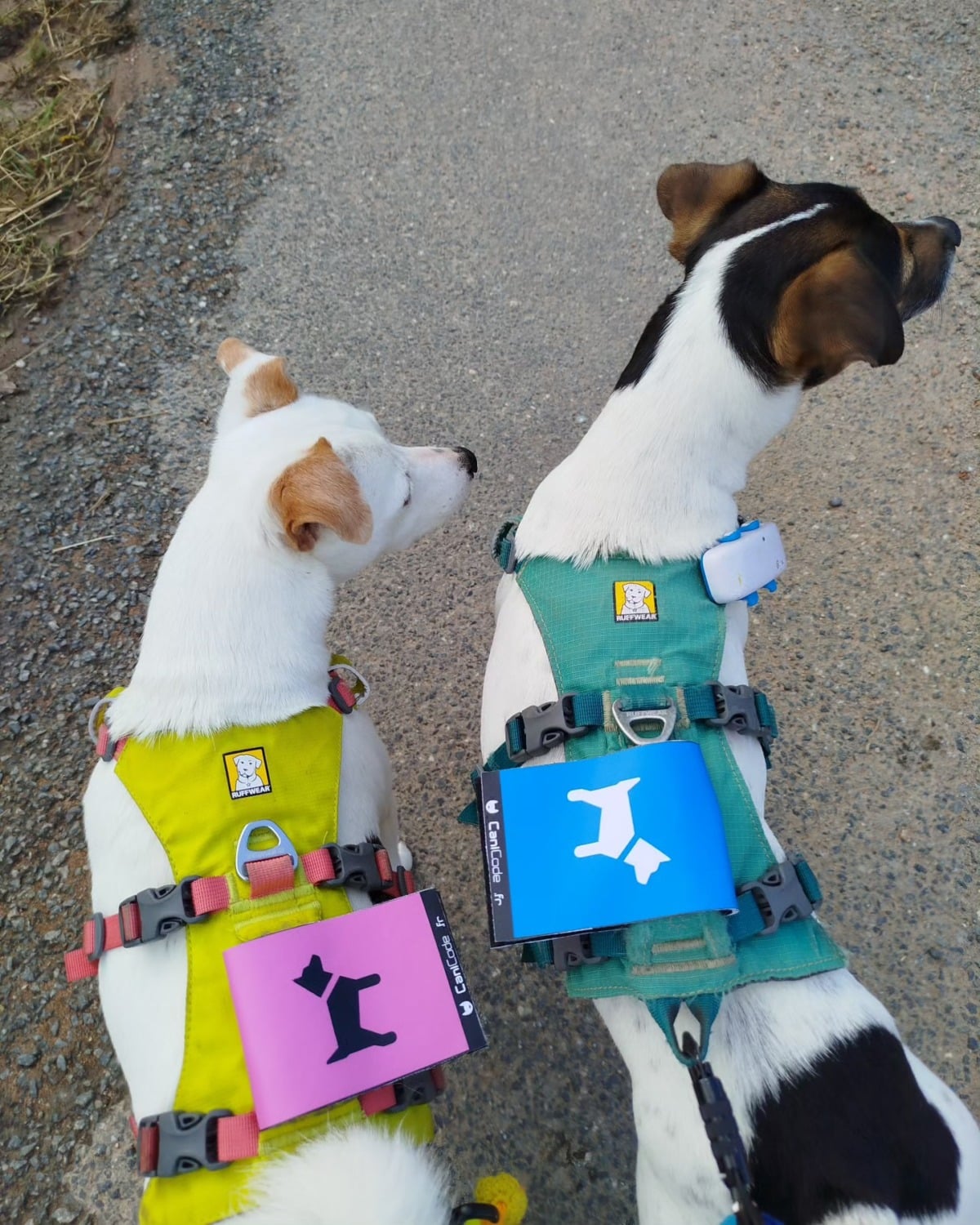 451060274_1042191144578909_5336976372314756688_n