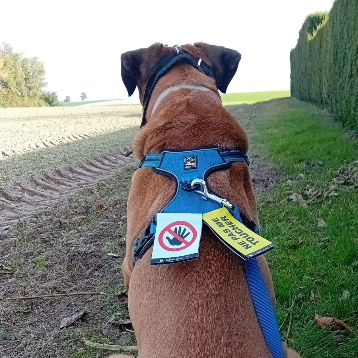 464591395_1127483032716386_2309401772962163481_n