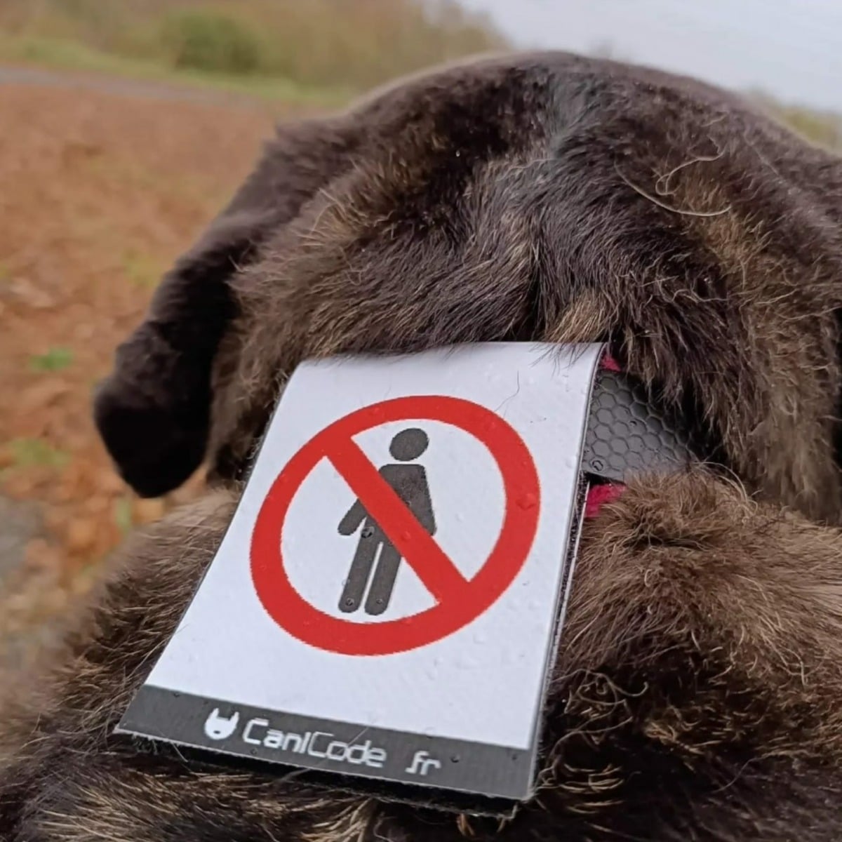 465377229_1140536648077691_5961280277820780479_n