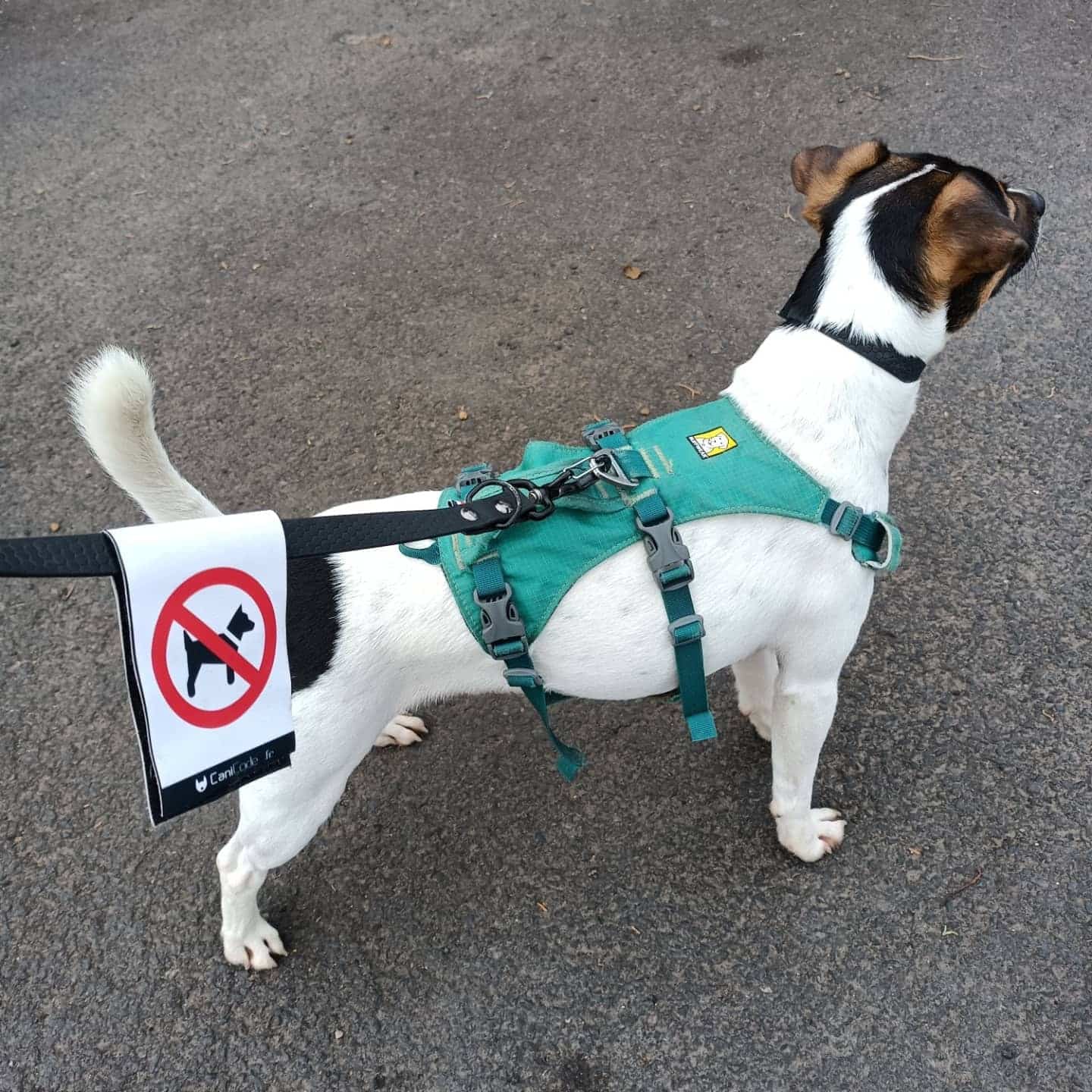 475048299_4070447656521526_8854583329222289184_n