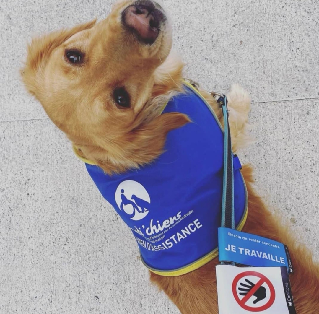 IMG_20230922_073016 - Copie