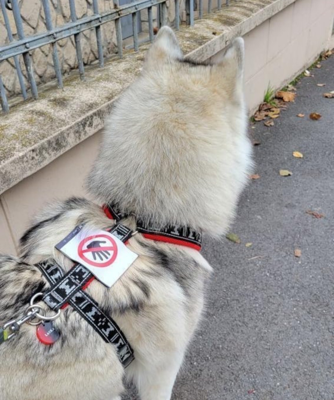 IMG_20230922_073054 - Copie