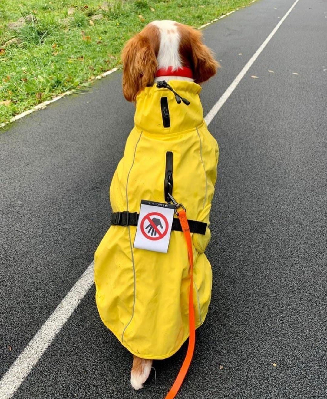 IMG_20230922_073135 - Copie