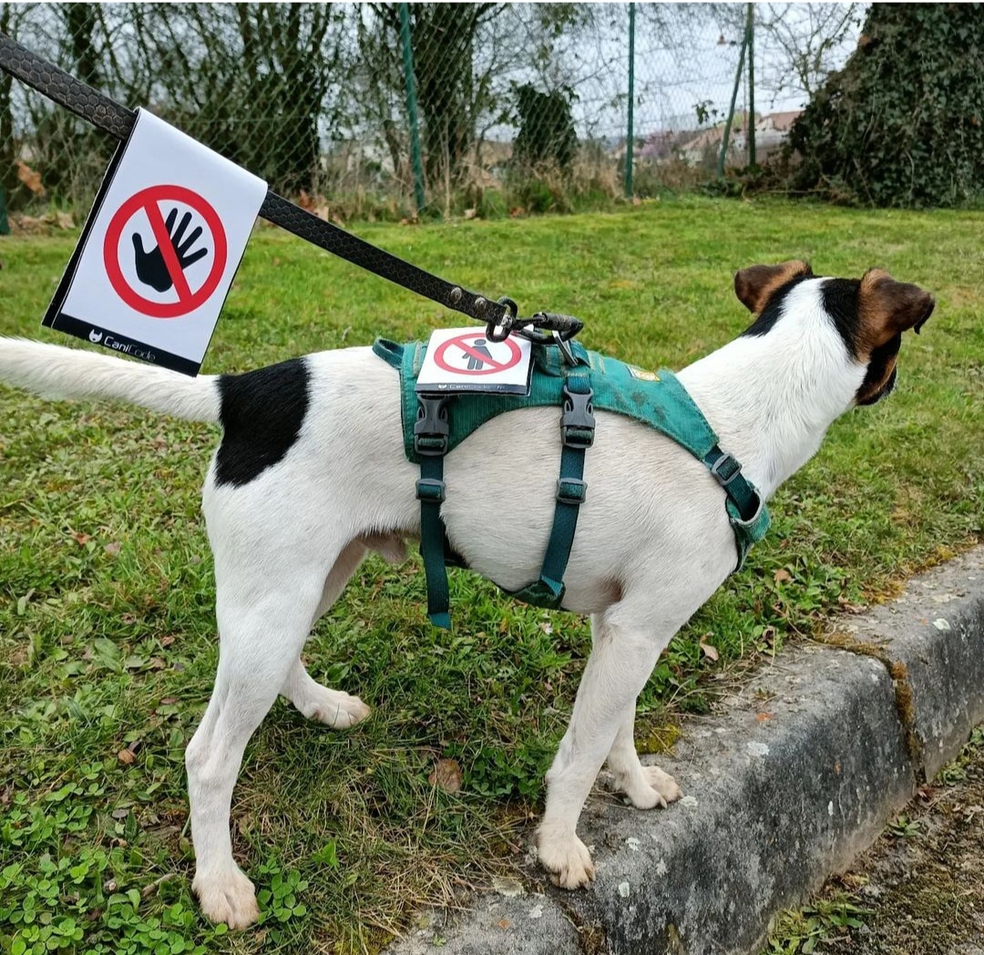 IMG_20230922_073238 - Copie