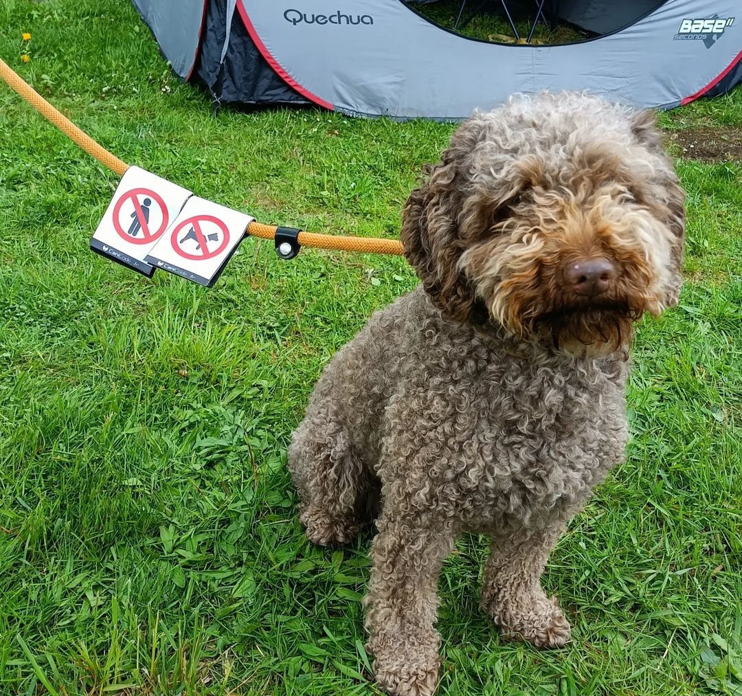 IMG_20230922_073446 - Copie