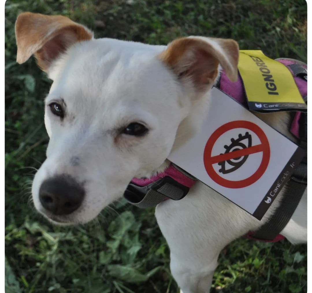 IMG_20230922_073604 - Copie