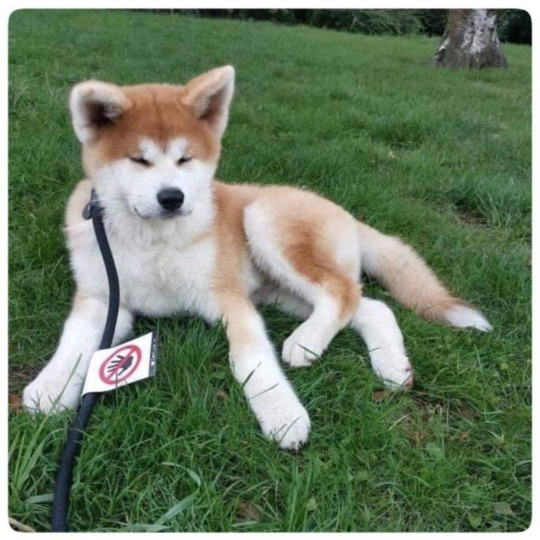 IMG_20230922_073651 (1) - Copie